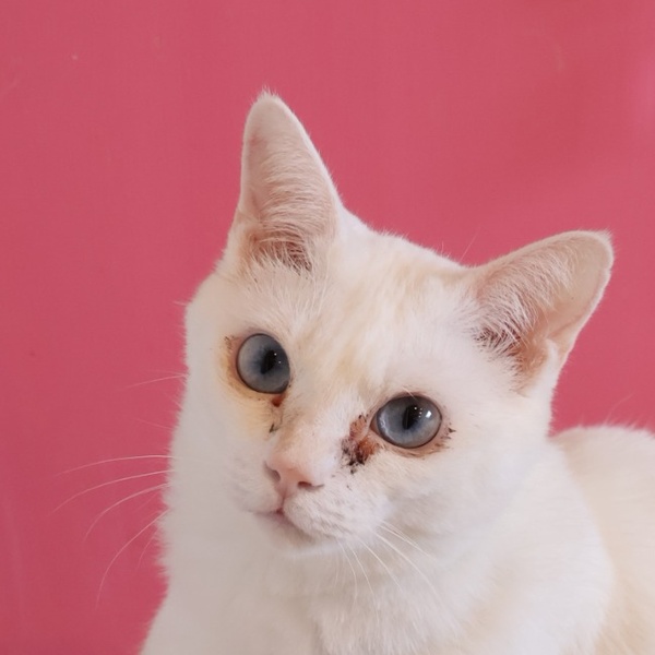 マロの写真